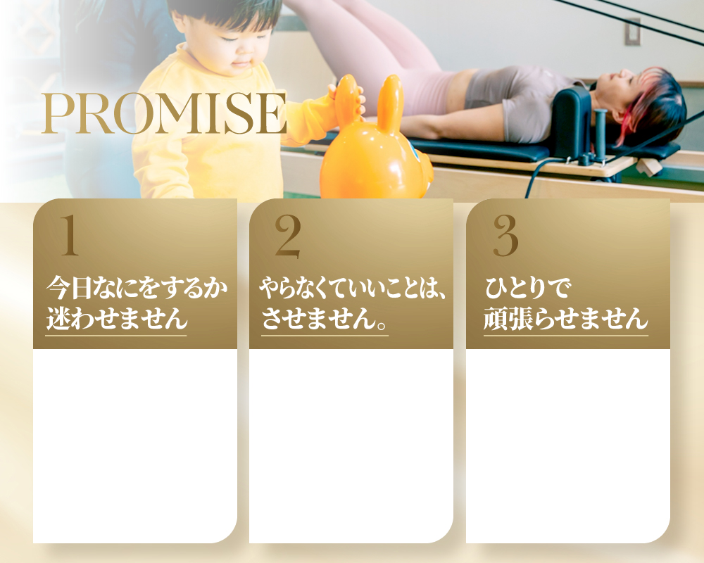 PROMISE