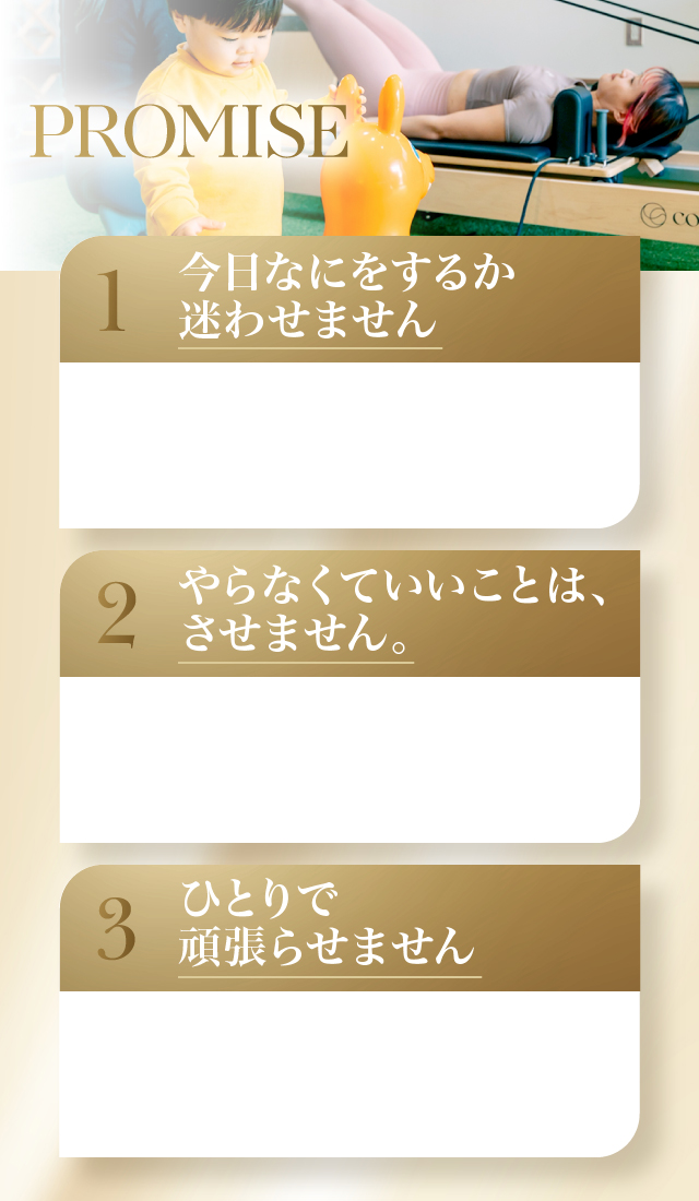 PROMISE