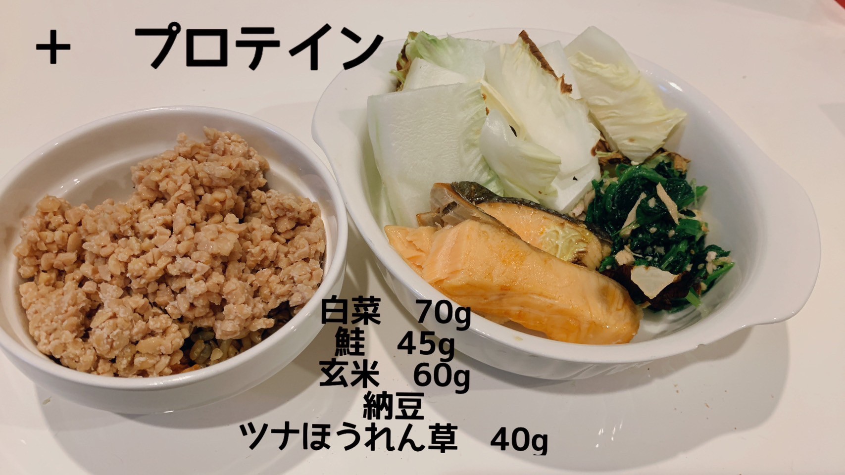 ダイエット・ボディメイク食事例（白菜、鮭、玄米、納豆、ツナほうれん草、プロテイン）