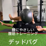 腰にやさしい腹筋トレーニング「デッドバグ」