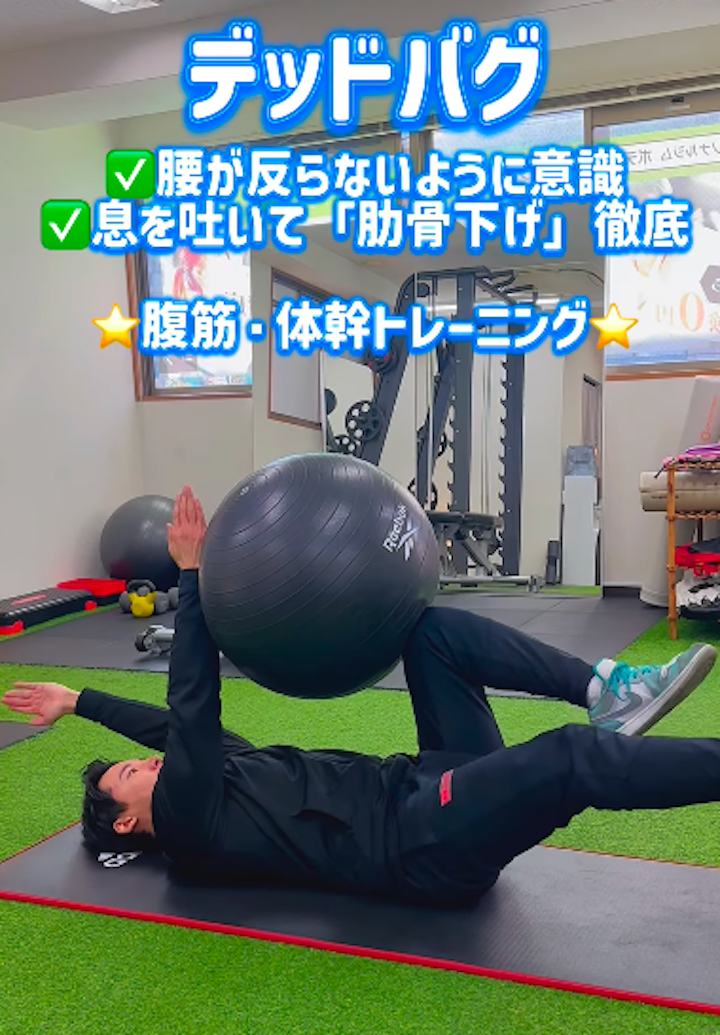 デッドバグ1つで体幹が劇的に変わる/姪浜パーソナルジム