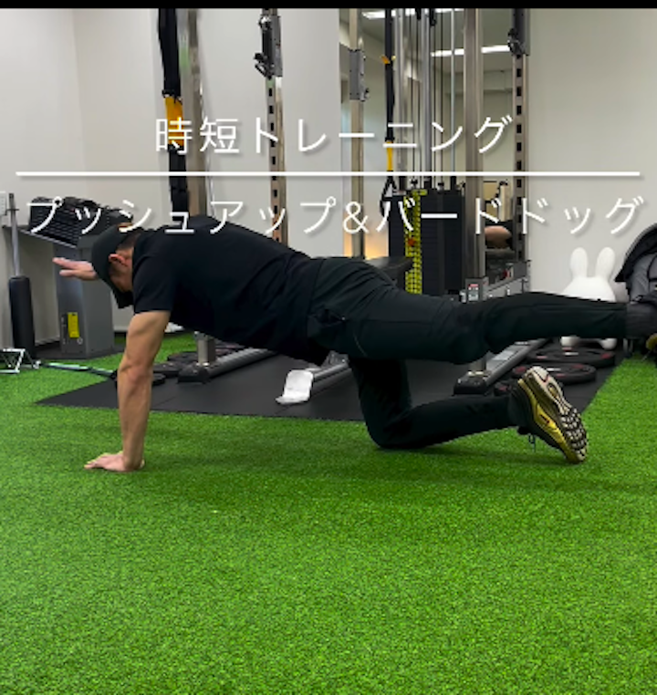 体幹を鍛える時短エクササイズ｜プッシュアップ＆バードドッグ/藤崎パーソナルジム