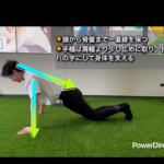 家トレの王道！腕立て伏せのポイントは？/福津パーソナルジム